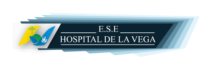 AULAS VIRTUALES ESE LA VEGA